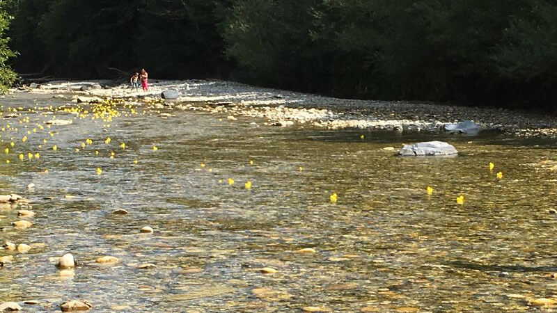 Letzten Samstag um 14 Uhr ging‘s los: 500 gelbe Änteli stürzten sich bei Langnau in die Ilfis und traten das Rennen ihres Lebens an. 