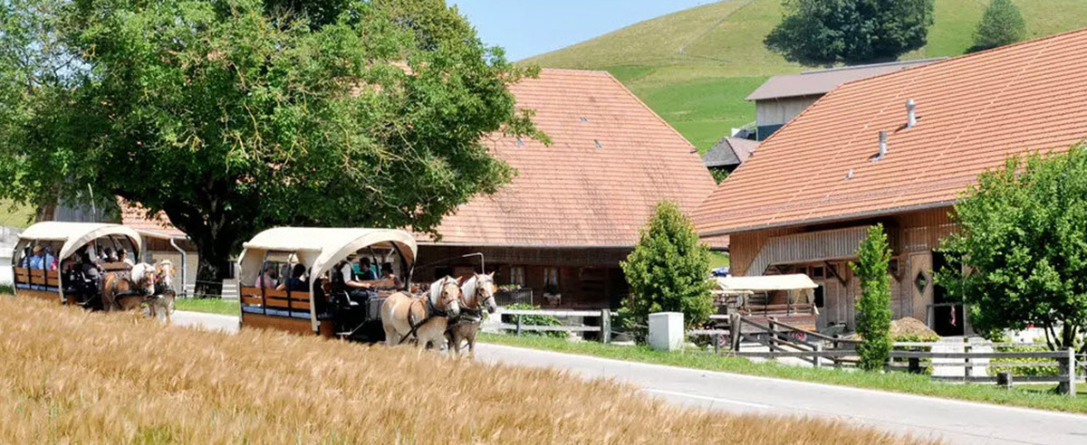 Ihr professioneller, herzlicher und innovativer Auftritt findet Anklang. Das Team von Kathrin und Urs Zimmermann begeistert die Gäste des Haflinger Zentrums mit Kutschenfahrten, Spielen und feinem Essen – und dieses Jahr auch mit Geschenkkörben. Die Bernerland Bank steht der Familie Zimmermann seit Jahren zur Seite.