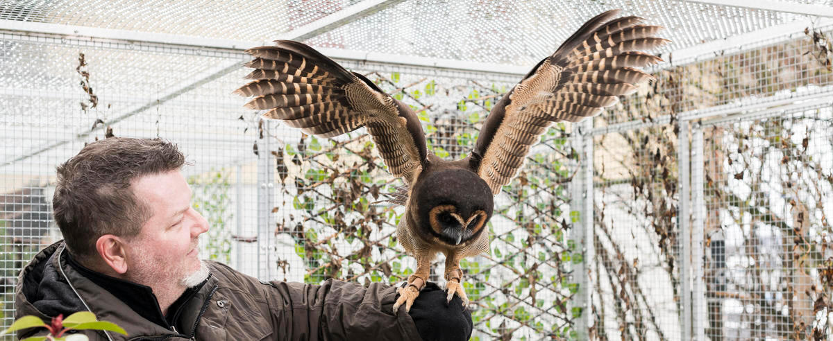 Marc Pellet ist begeisterter Hobby-Ornithologe und Kunde der Bernerland Bank. Sein ganzer Stolz sind seine Eulen. «Ich lebe meinen Traum.»